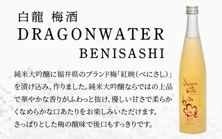 白龍 梅酒 Dragon Water BENISASHI 500ml /酒 永平寺町 お酒 梅 うめ ウメ うめ酒 ウメ酒 純米大吟醸 地酒 紅映 父の日 ギフト 贈答 バレンタイン ホワイトデー 吉