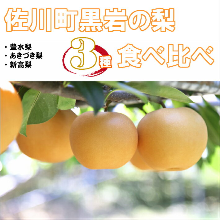 【ふるさと納税】＜2025年秋発送＞佐川の梨 3種 リレーでお届け 定期便 食べ比べセット【期間・数量限定】高知県 佐川町 黒岩 常温【予約販売商品】朝ドラ らんまん モデル 牧野富太郎のふるさと 佐川から直送【9月上旬頃より順番に発送】