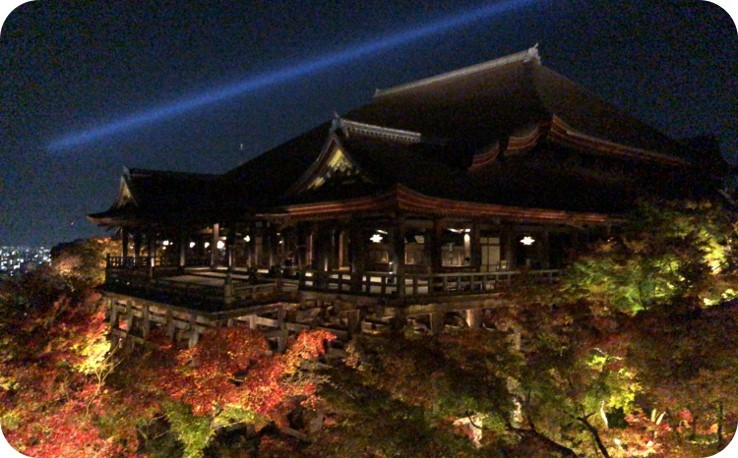 
            執事 森清顕氏と巡る清水寺夜間貸切拝観（11月）　※寄附金は文化財保護に使途を限定しています。
          