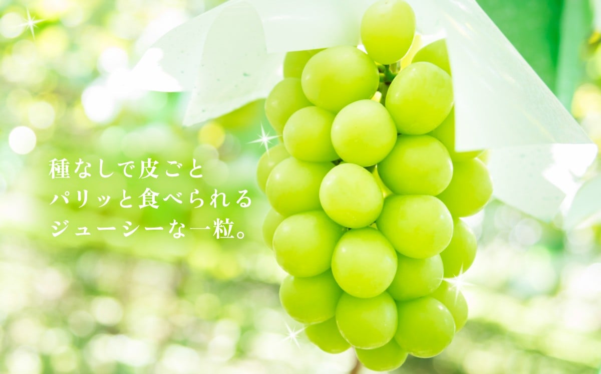 丁寧に愛情をこめた生産を日頃から心がけています。