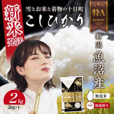 ふるさと納税 十日町市 【無地のし】無洗米 令和7年産 魚沼産 コシヒカリ 2kg (お米の炊き方ガイド付き)