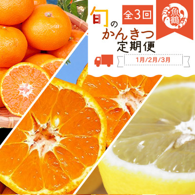 【発送月固定定期便】紀州和歌山産旬のフルーツセット(みかん・不知火・レモン)全3回【4005764】