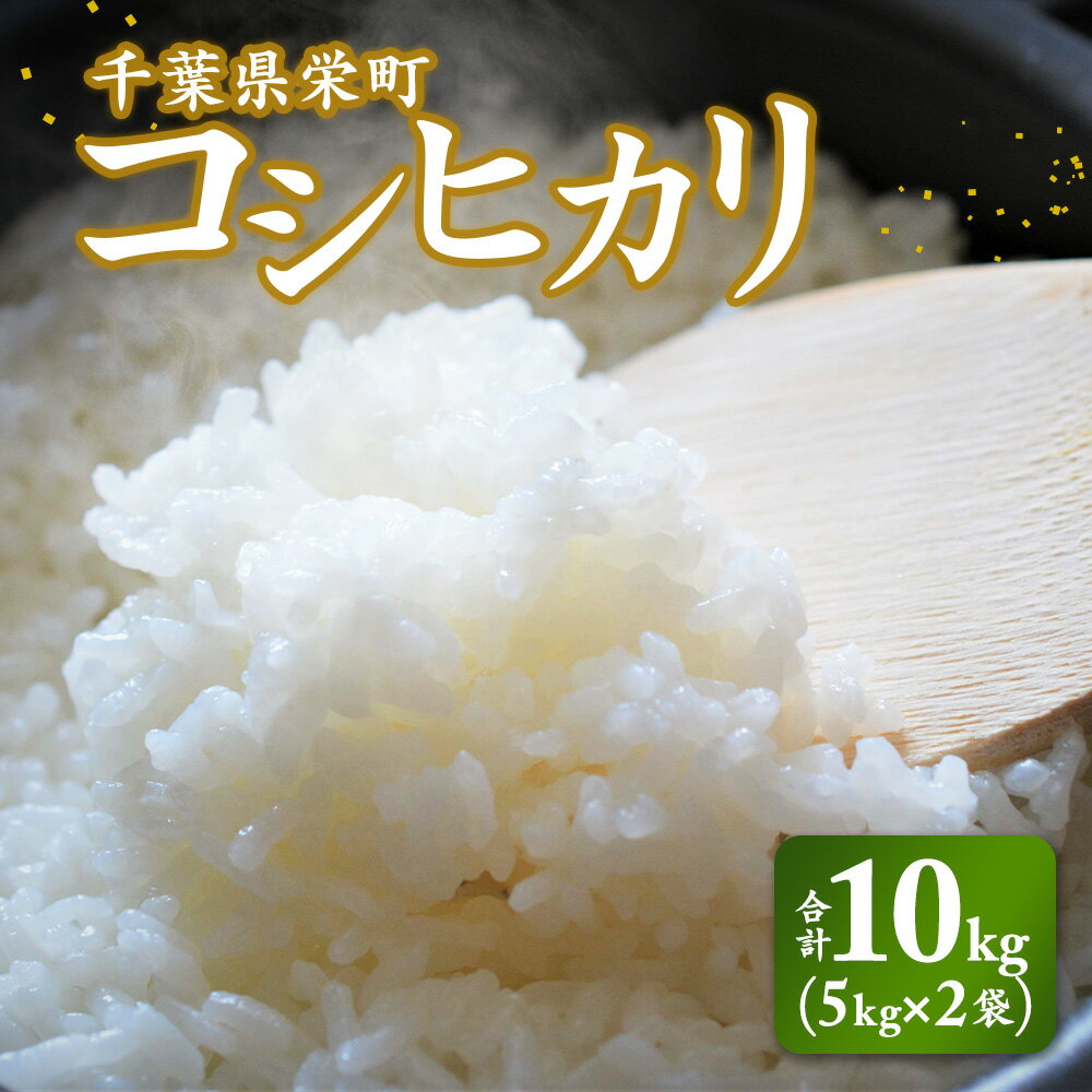 【ふるさと納税】令和7年産米 先行予約 栄町産コシヒカリ10kg（5kg×2袋）北王ファーム 25-3 ※沖縄・離島への配送不可 ※2025年9月下旬頃より順次発送予定