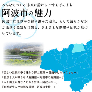 和菓子 カステラ とら巻き 3本 白あん 保存料不使用 ギフト 贈答品 菓匠村上 徳島県 阿波市