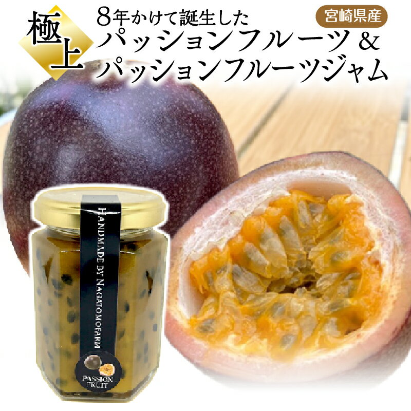 【ふるさと納税】《2026年発送 先行予約》【数量・期間限定】8年かけて誕生した《宮崎県産》極上パッションフルーツ＆極上パッションフルーツジャム ルビースター サマークイーン フルーツ 果物 果実 果肉 ジャム 国産 宮崎県産 贈答 贈り物 ギフト プレゼント グルメ 宮崎市