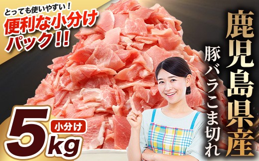 
                  【期間限定】鹿児島県産 豚バラ切り落とし 計5kg HK-32 鹿児島県 南大隅町 国産豚 250g×20パック 豚肉切り落とし 豚肩バラ肉 小分け 豚キムチ 炒め物 焼肉 こま切れ 切り落とし 細切れ 小間切れ お肉 肉 豚肉 冷凍
                