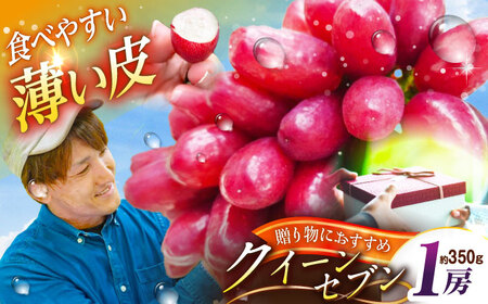 ぶどう 【2026年先行予約】【10個限定】【贈答用】クイーンセブン 1房（約350g） [AIAB007] ぶどう