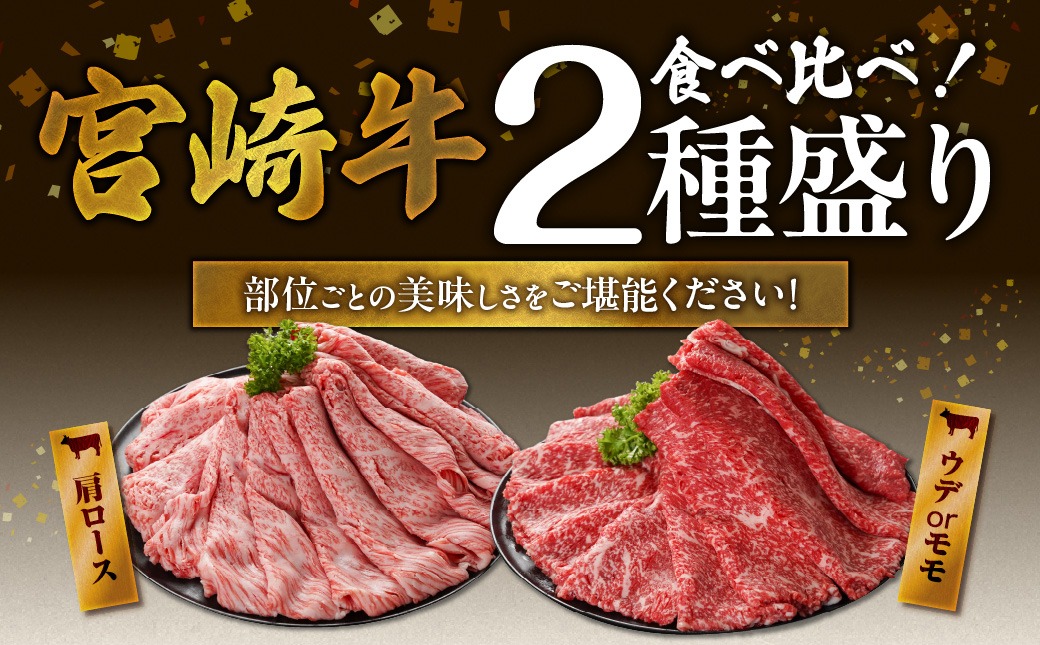 畜産農家応援! 宮崎牛しゃぶしゃぶ2種セット500g×2パック+豚肉ハンバーグ100g×4個_17-N203-ESH