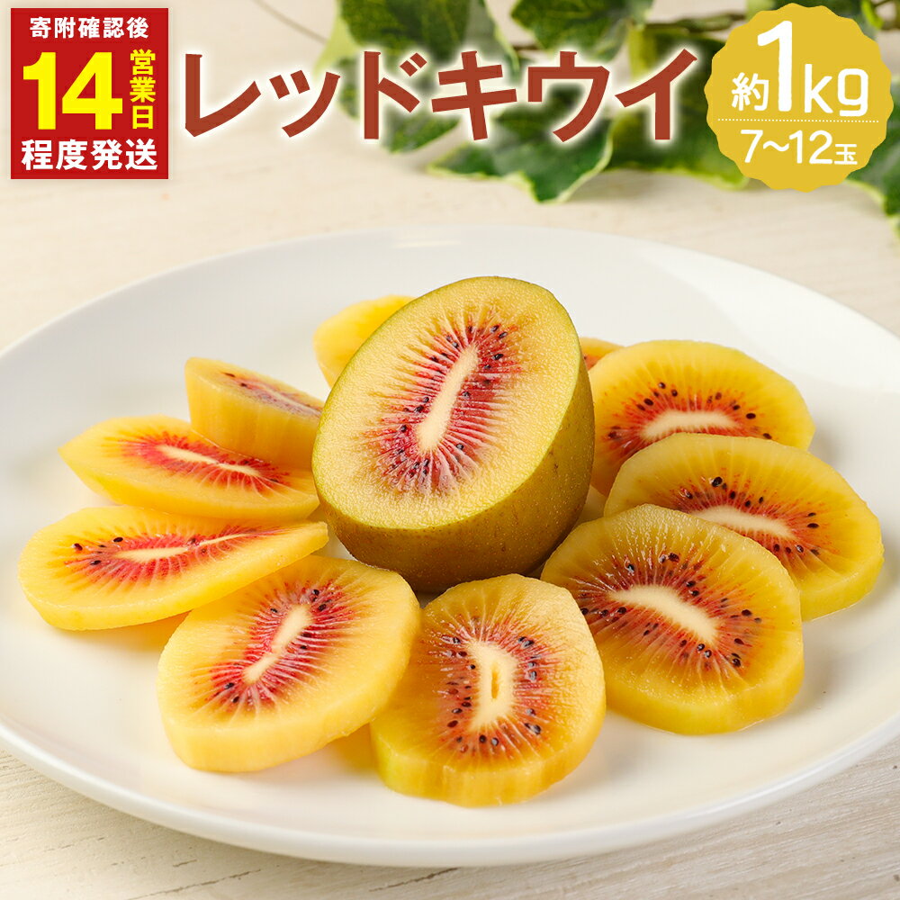 【ふるさと納税】【14営業日以内発送】 益城町産 レッドキウイ 約1kg 7～12玉 フルーツ 果物 国産 熊本県産 益城町産 送料無料【2025年10月下旬～2026年2月上旬順次発送予定】