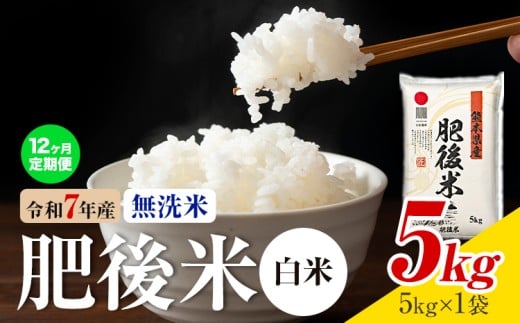 【12ヶ月定期便】熊本県産 肥後米 無洗米 白米 5kg 1袋5kg 米 お米 令和7年産 九州産 熊本県産 送料無料《お申込み翌月に出荷予定》 無洗米 白米 米