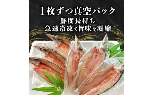 国産 厳選 冬 カマス６枚 干物 脂 旨味 凝縮 真空 パック 食べやすい ご飯 おかず 冷凍 小分け 個包装
