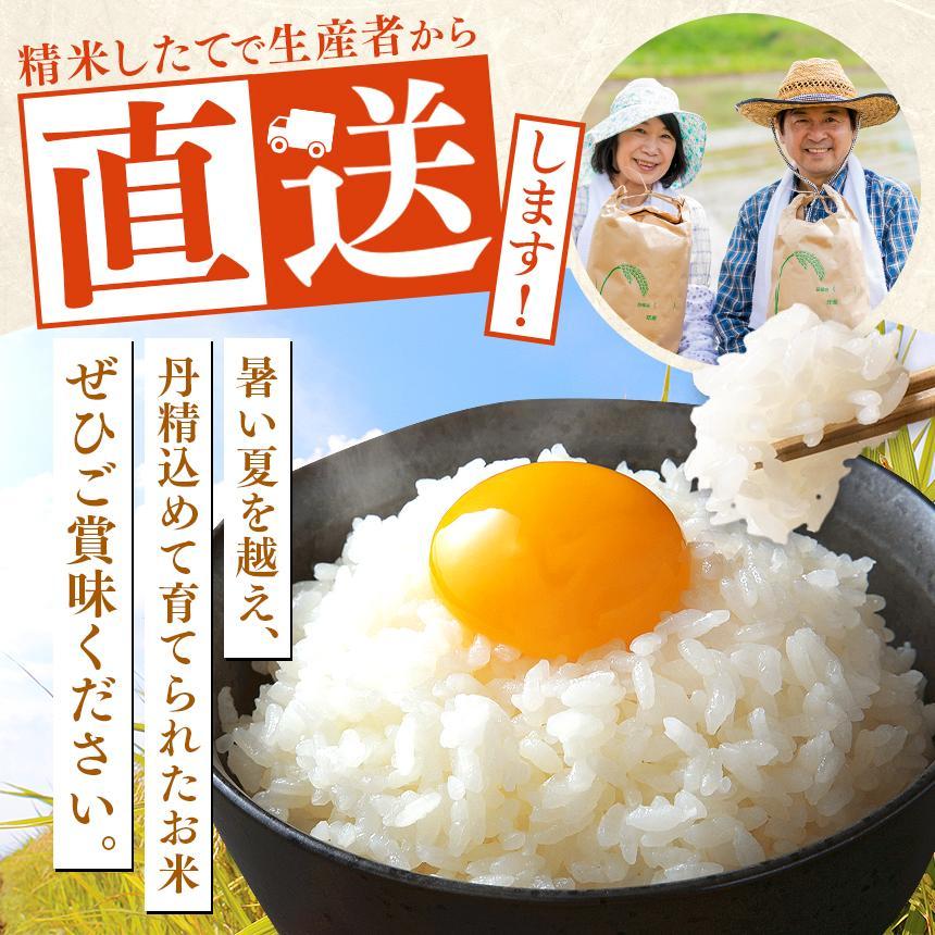 お米 令和8年産 こしひかり 白米 5kg【2026年 先行予約】 | 栃木県共通返礼品
