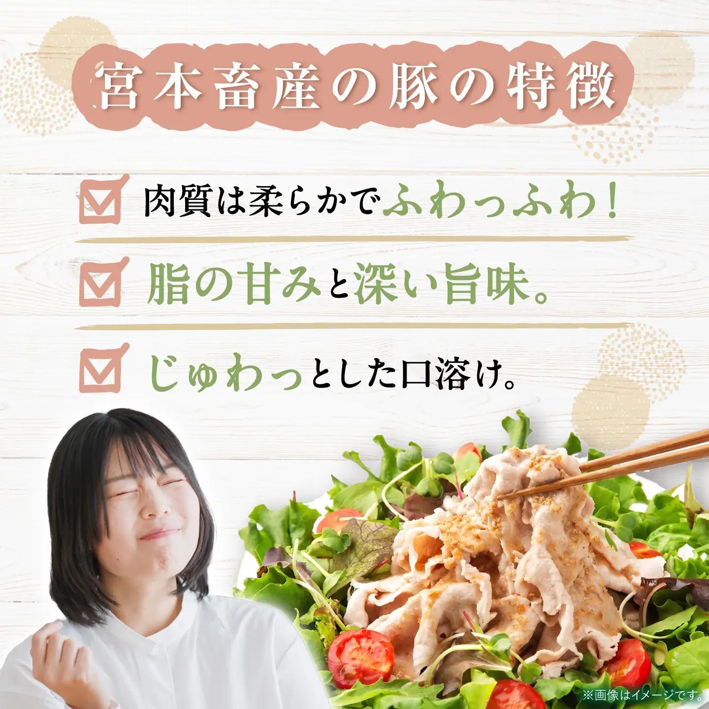 6回定期便 豚肉 切り落とし 2kg CFA015 国産豚