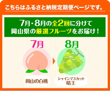 フルーツ 定期便 桃 シャインマスカット 先行予約 岡山の厳選フルーツ 定期便2回コース 岡山の白桃 6玉(1.6kg以上) シャインマスカット 晴王 2房(1房600g以上) 化粧箱入り ギフト 贈