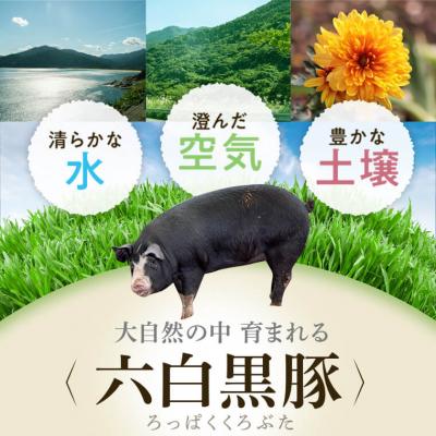 ふるさと納税 肝付町 特選黒豚とんかつセット(計約1.6kg)、黒豚餃子(12個入×1P)付き!　B02077 |  | 01