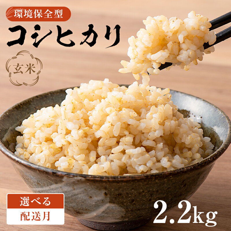 【ふるさと納税】【配送月が選べる】環境保全型コシヒカリ 玄米2.2kg【2024年産】 千葉県 南房総市 お米 米 ブランド米 ご飯 離乳食 米作り おにぎり 赤ちゃん お弁当 栄養 お取り寄せ グルメ 送料無料