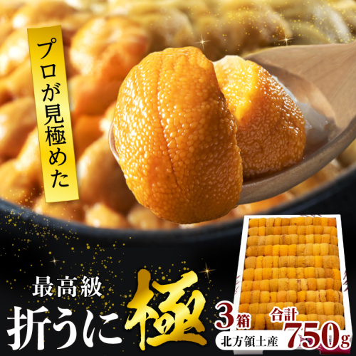 ≪プロ厳選≫最高級折うに(極)計750g うに ウニ 雲丹 折うに 海鮮 海産物 北海道 浜中町 ふるさと納税 人気_H0014-102