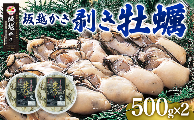  牡蠣 坂越かき 剥き牡蠣 500g×2[ 生牡蠣 かき カキ むき身 剥き身 生食 冬牡蠣 ] 魚貝類 魚介類 