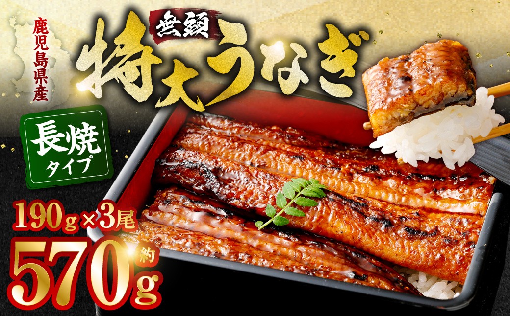 BS-338 九州産うなぎ蒲焼 3尾 食べごたえある3人前
