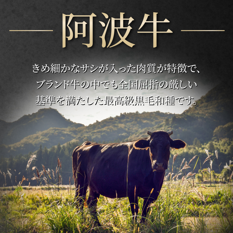 ホルモン 小腸 阿波牛 味噌漬け 200g×3パック 小分け 計600g  国産 牛 黒毛和牛 鍋 焼肉 脂 焼き ホソ もつ 肉 牛肉 BBQ 【北海道・東北・沖縄・離島への配送不可】