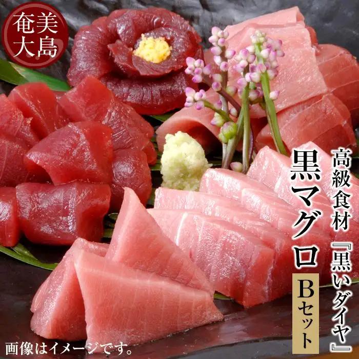 クロマグロ 鹿児島県奄美大島産高級食材『黒いダイヤ』クロマグロ Bセット