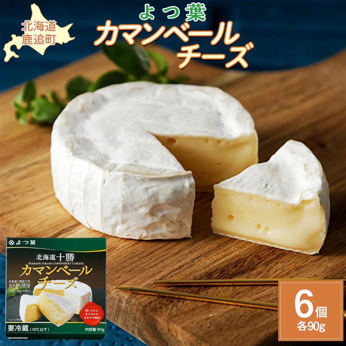 北海道  よつ葉カマンベールチーズ6個 【人気 おすすめ     セット  送料無料 】 SKA032
