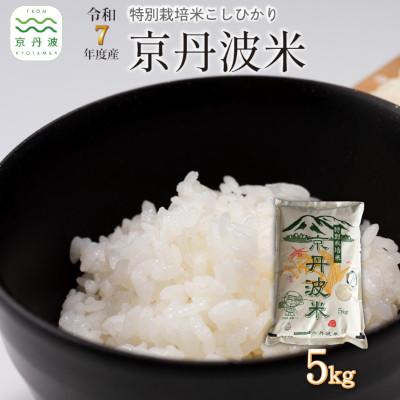 ふるさと納税 京丹波町 特別栽培米 こしひかり 京丹波町産 5kg 令和7年度産米