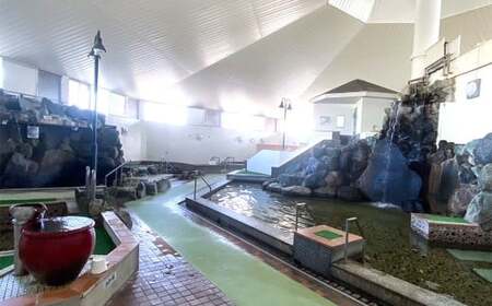 入浴 回数券 10回券 （ クアハウス長島 ） 温泉 天然温泉 かけ流し 長島温泉 泡沫浴 打たせ湯 つぼ風呂 つぼ風呂 歩行浴 サウナ チケット 入浴券 三重県 桑名市