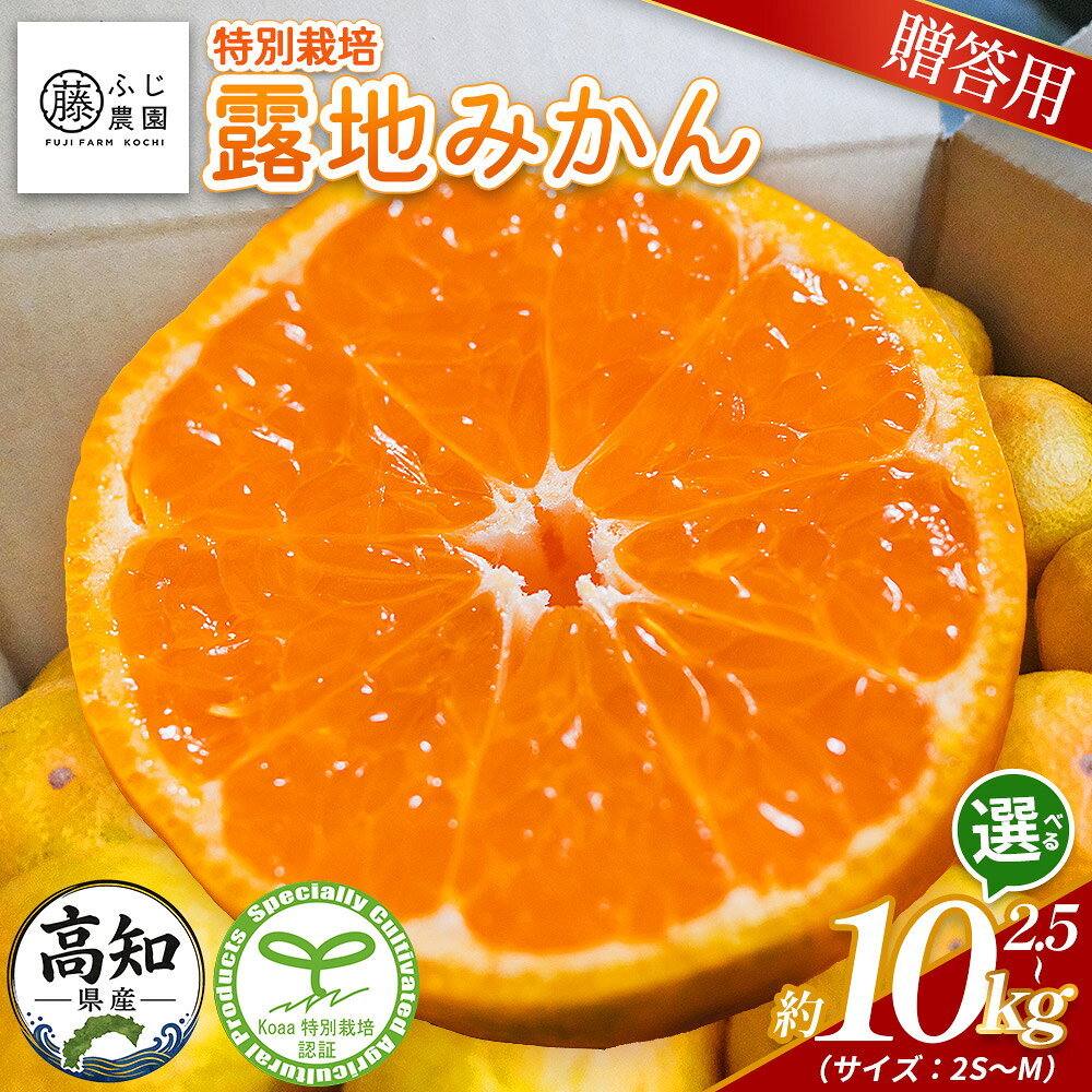 【ふるさと納税】【2026年10月以降順次配送分】【選べる内容量】ふじ農園の露地みかん 贈答用 (選べる内容量：2.5kg/5kg/10kg)(2S〜M) - 大容量 国産 小玉 蜜柑 ミカン 柑橘 果物 フルーツ プレゼント ギフト 箱買い 贈り物 5キロ ギフトふじ農園 高知県 香南市 【常温】