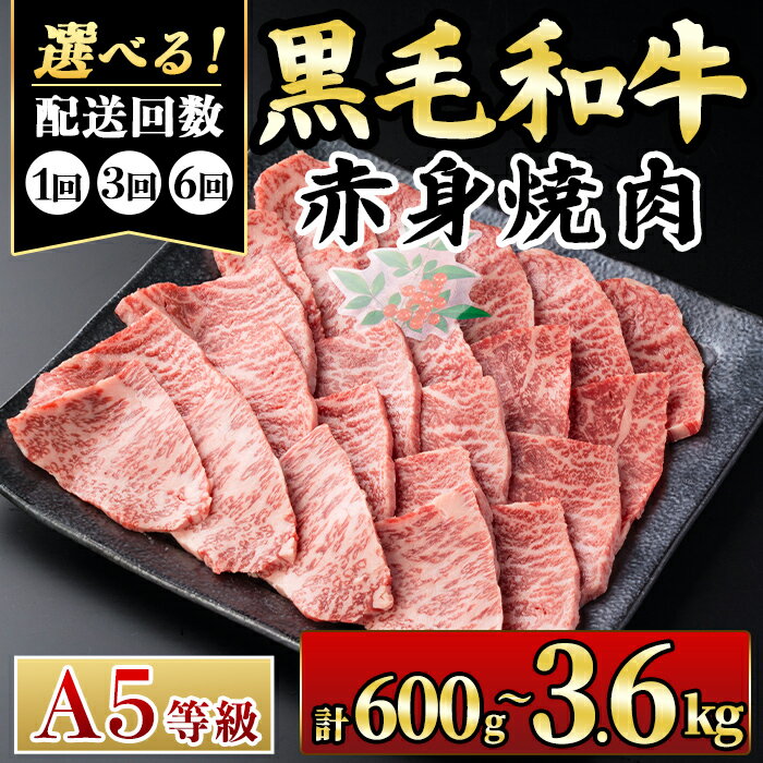 【ふるさと納税】《お届け回数を選べる！》鹿児島県(カミチクファーム 大口農場)産 黒毛和牛赤身焼肉(計600g or 1.8kg or 3.6kg) 黒毛和牛 赤身 焼肉 和牛 国産牛 A5 ランク 雌牛 牛肉 BBQ バーベキュー アウトドア キャンプ 冷凍 小分け 【お肉の直売所 伊佐店】