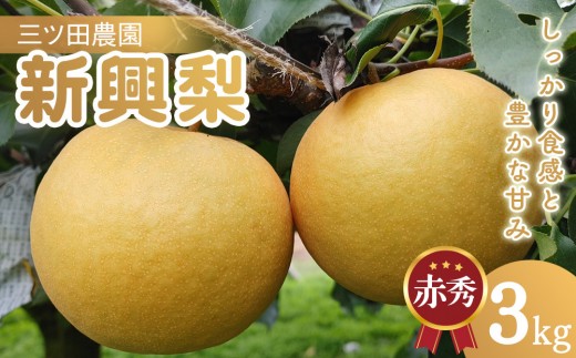 三ツ田農園 新興梨 (赤秀)3kg【10月頃お届け】