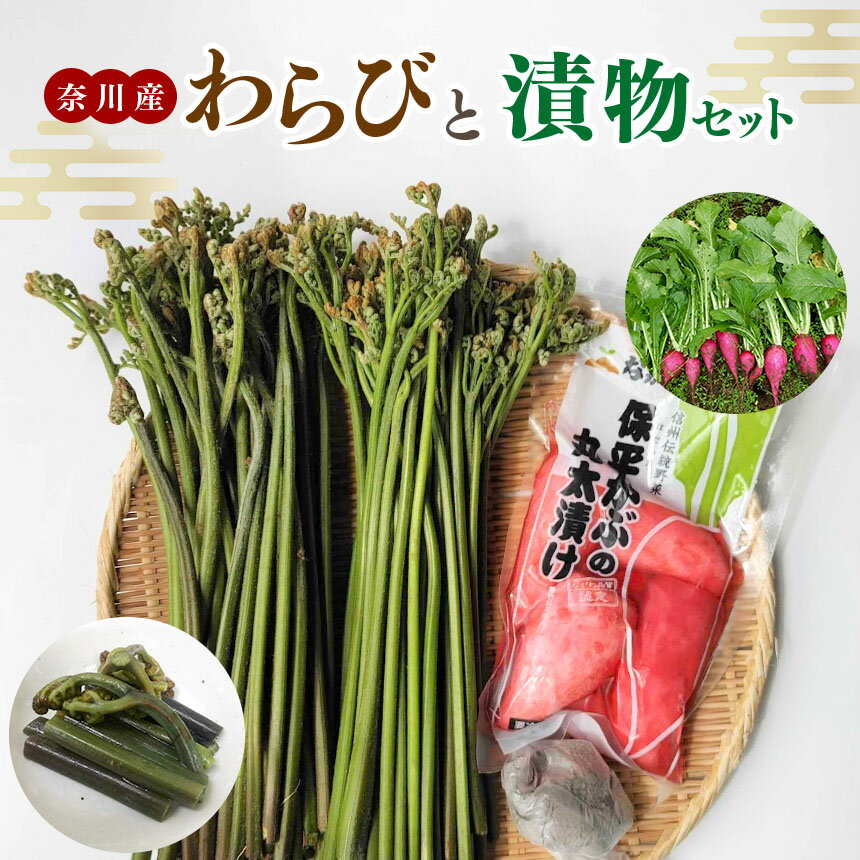 【ふるさと納税】【先行予約】奈川産わらび1kgと漬物セット | わらび 蕨 つけもの 漬物 セット