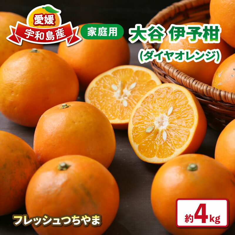 【ふるさと納税】 大谷 伊予柑 4kg 家庭用 フレッシュつちやま 先行予約 ダイヤ オレンジ おおたに いよかん 伊予かん 希少 果物 くだもの フルーツ 柑橘 みかん 愛媛みかん 愛媛蜜柑 愛媛ミカン 吉田みかん 宇和島みかん 産地直送 数量限定 国産 愛媛 宇和島 B012-096033