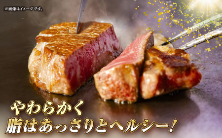【全6回定期便】長崎和牛 希少部位 赤身 ステーキ 200g×4 《壱岐市》【KRAZY MEAT】 和牛 肉 牛肉 BBQ 冷凍 A5 A4[JER114]