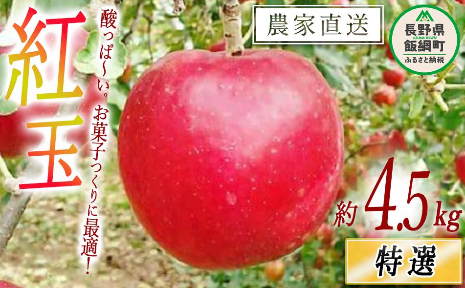 りんご 紅玉 特選 4.5kg やまじゅうファーム 沖縄県への配送不可 2025年10月上旬頃から2025年10月中旬頃まで順次発送予定 令和7年度収穫分 信州の環境にやさしい農産物 減農薬栽培 長野県 飯綱町 [0516]
