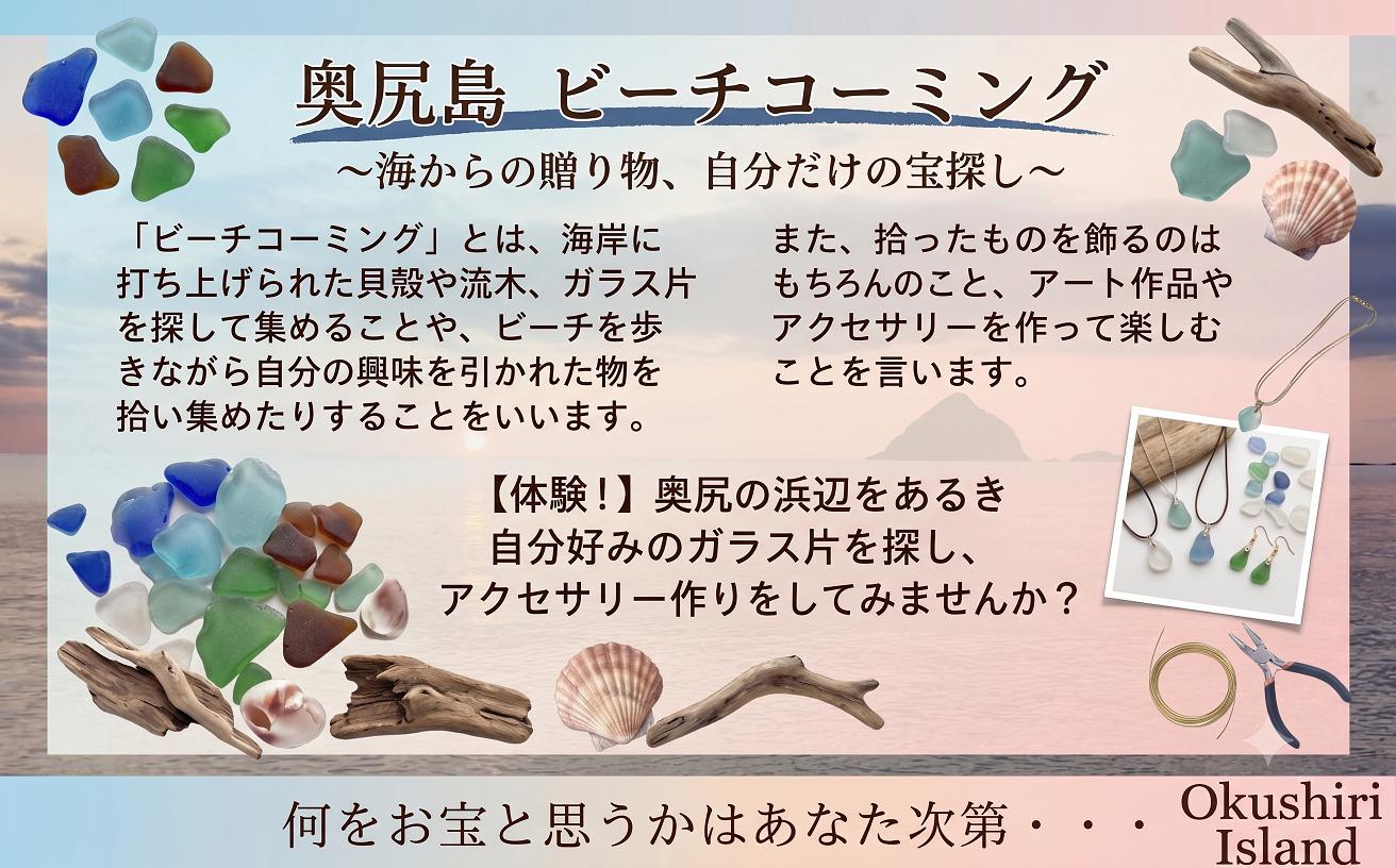 
                  【選べる】ビーチコーミング体験２~４名様
                