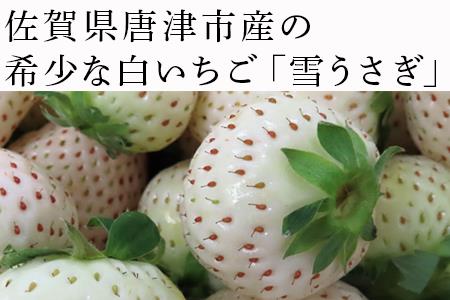 『先行予約』【令和8年2月中旬発送】唐津産 白いちご「雪うさぎ 」苺 イチゴ 希少 果物 フルーツ 脇山農園
