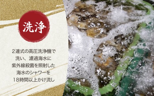 27-12 浦村牡蠣 カキフライ 20個×4パック 浦村産 大粒 牡蠣フライ 冷凍
