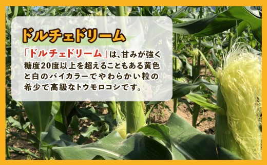 【8月～9月発送予定・数量限定】（生産者直送）玉手農場産とうもろこし「ドルチェドリーム」3本（オンライン決済限定）