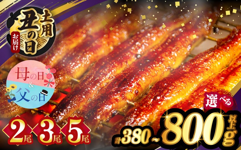 
                  【選べる内容量・発送・夏の丑の日】うなぎ蒲焼2尾 3尾 5尾(さんしょう・たれ付き)計380g 450g 800g以上 母の日 父の日 鰻 魚 魚介 加工品 国産_T026-0035-SKU-C
                