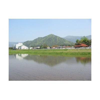 ふるさと納税 山口市 徳佐の米こしひかり2kg×5袋(白米) C118 |  | 01