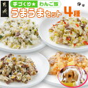 【ふるさと納税】手づくり☆わんご飯『うまうまセット』 - 犬用 手づくりご飯 ぶり大根 馬肉ッパ 牛しぐれ 豚肉ポトフ ドッグフード ペットフード 送料無料 12-J501【宮崎県都城市は2年連続ふるさと納税日本一！】