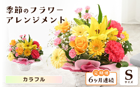 定期便 ≪6ヶ月連続お届け≫ 季節のフラワーアレンジメント S (カラフル) 花束 生花 プレゼント [E-20703_03]
