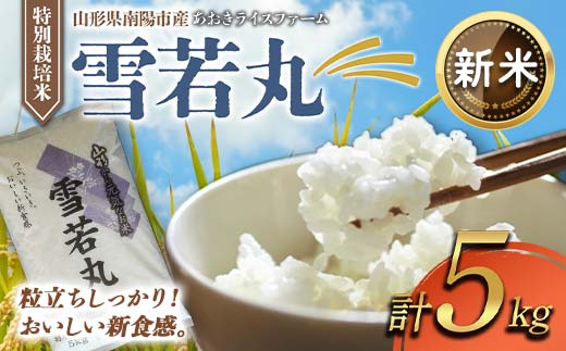 
            【令和7年産 新米 先行予約】 【金賞受賞農家】 特別栽培米 雪若丸 5kg 《令和7年10月上旬～発送》 『あおきライスファーム』 山形南陽産 米 白米 精米 ご飯 農家直送 山形県 南陽市 [1547-RR7]
          