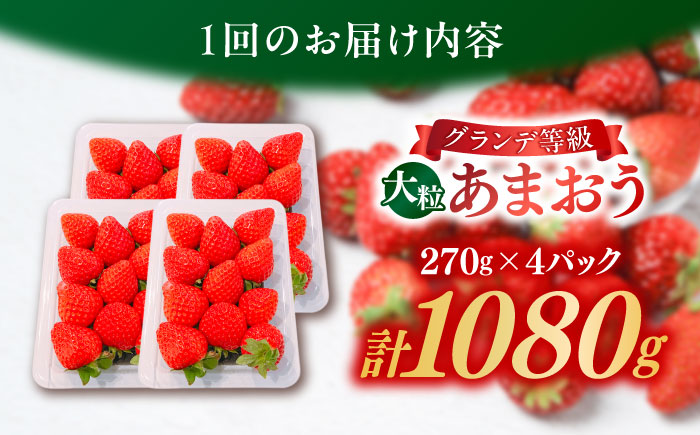 【全2回定期便】【2026年1月中旬より順次発送】 あまおう いちご 1080g (約270g×4パック) 吉富町/株式会社HSP-テクノ [BGBQ003]
