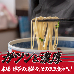 とんこつラーメン2人前×5袋【CF27】