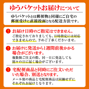 国産本革ボールペンケース ナチュラル(1点)レザー 国産 日本製 牛革 革製品 手作り 贈答 男性 女性 レディース メンズ【ksg1350-nt】【Zenis】