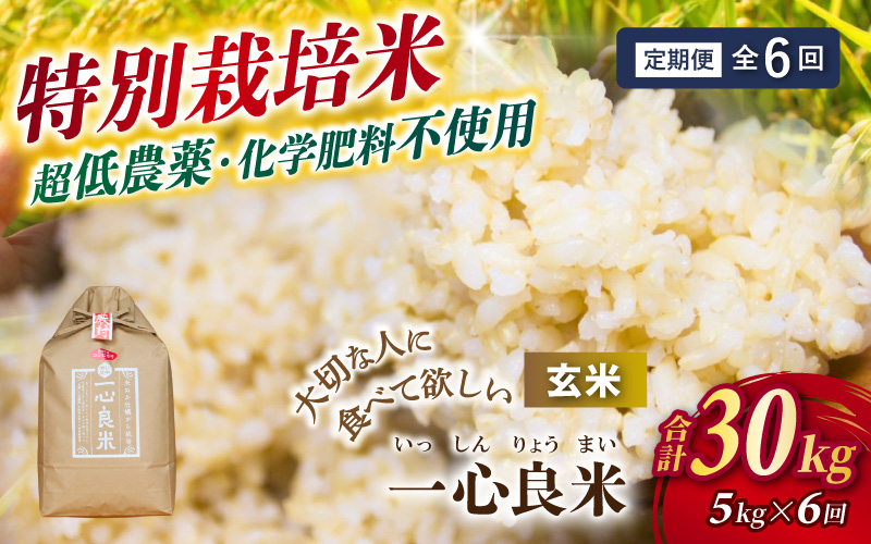 【定期便】【令和8年度産米】岡山県産 コシヒカリ 玄米 5kg 6回 一心良米（米ぬか牡蠣殻栽培米） ｜精米 お米 ライス ごはん ブランド米 2026年度産 白米 岡山 真庭市 【tkns-tkb051】
