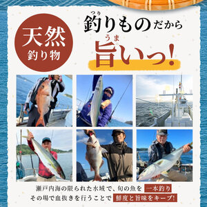 天然 真鯛刺身 約800g 鯛 冷凍