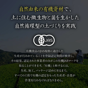 健康茶 5g 10包 5袋 セット 有機琥珀 ティーバッグ 静岡県産 日本茶 緑茶 お茶 茶 静岡県 藤枝市 ( お茶 静岡 お茶 静岡 お茶 静岡 お茶 静岡 お茶 静岡 お茶 静岡 お茶 静岡 お